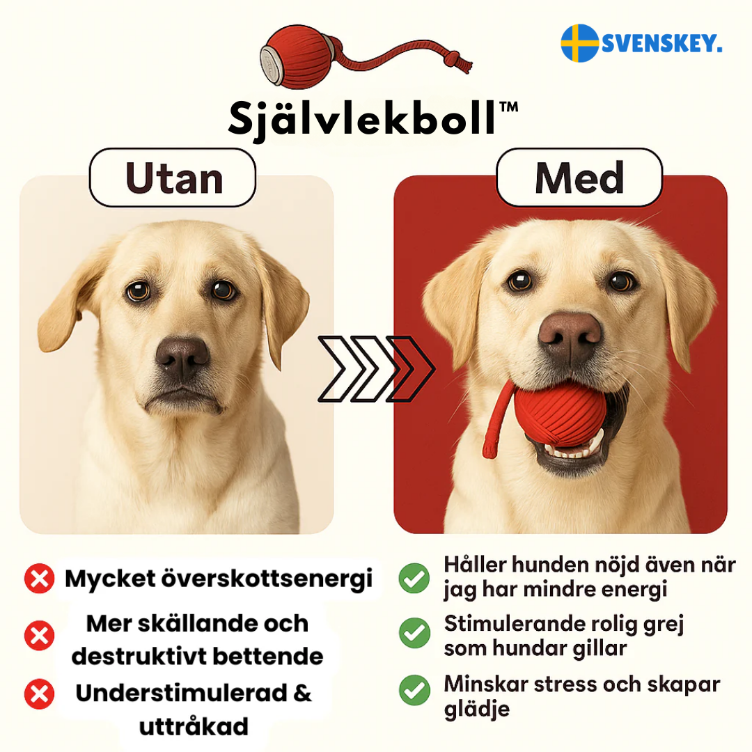 Självlekboll™ | Låt hunden leka själv — och få lugn och ro hemma.
