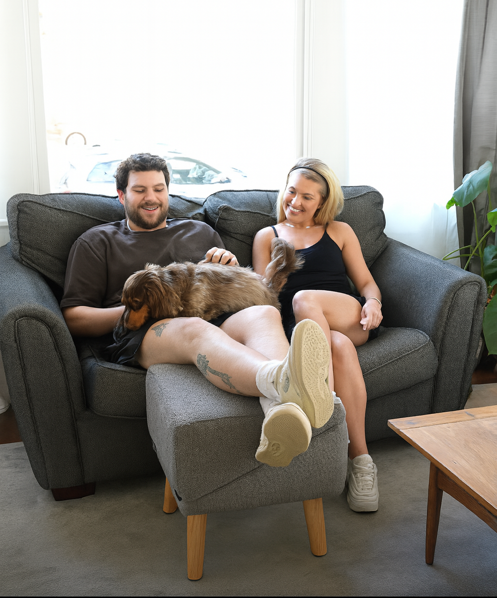 TrassStege™ –Trygga steg för äldre och små hundar