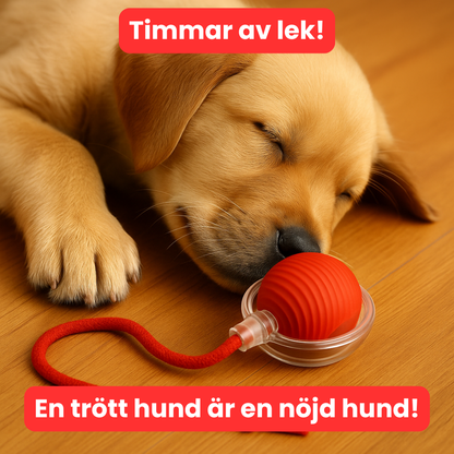 Självlekboll™ | Låt hunden leka själv — och få lugn och ro hemma.