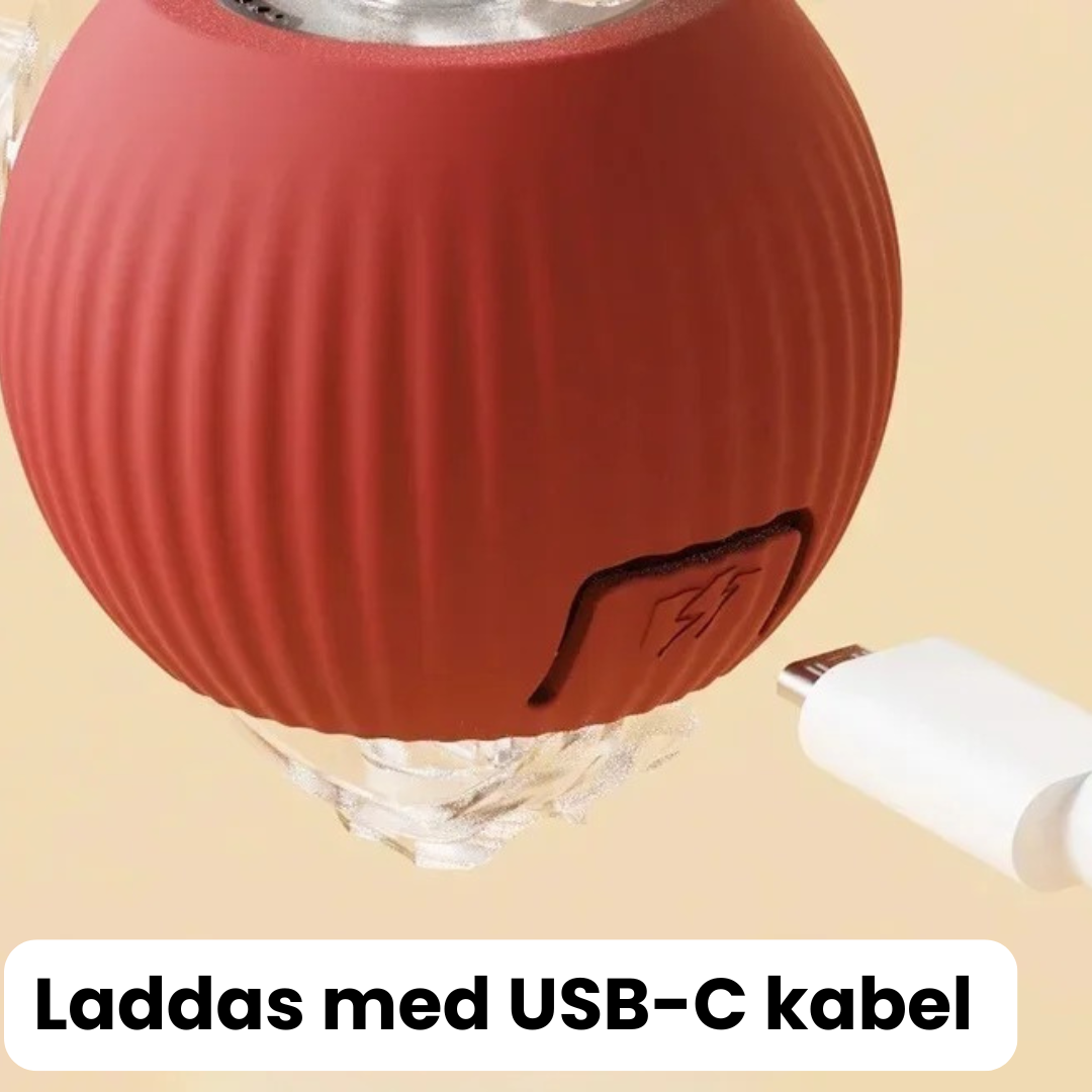 Självlekboll™ | Låt hunden leka själv — och få lugn och ro hemma.