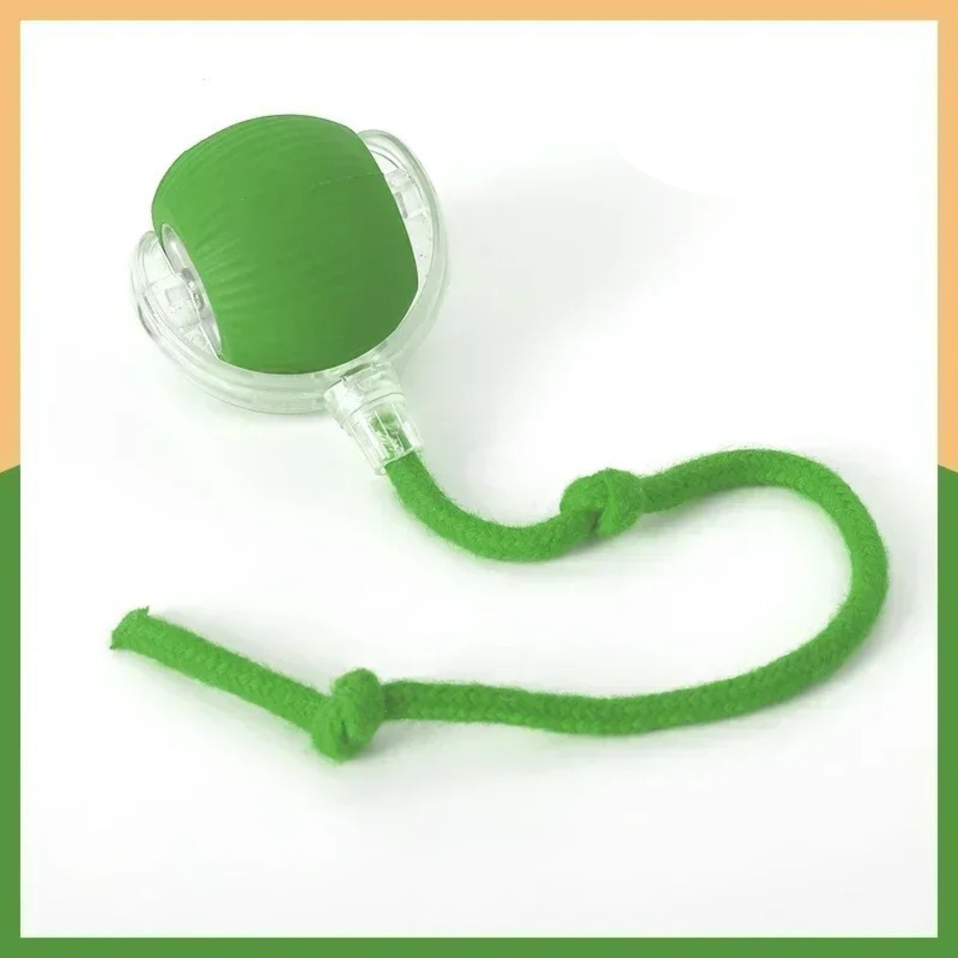 Självlekboll™ | Låt hunden leka själv — och få lugn och ro hemma.