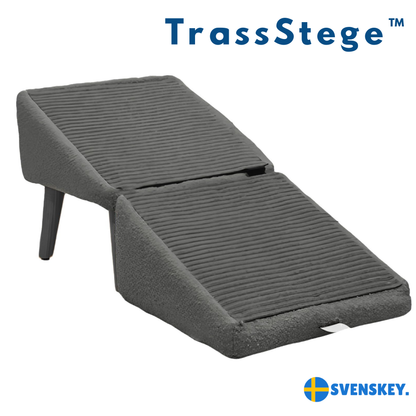 TrassStege™ –Trygga steg för äldre och små hundar