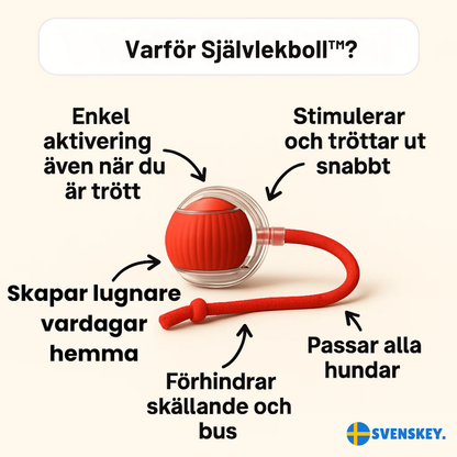 Självlekboll™ | Låt hunden leka själv — och få lugn och ro hemma.