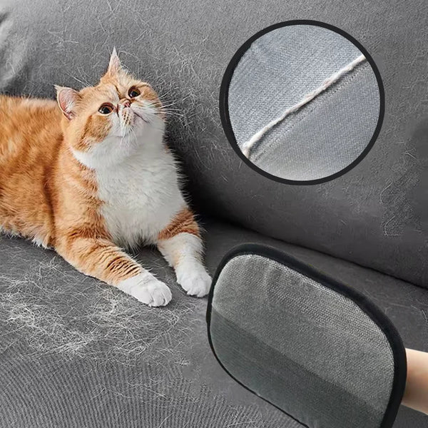 Pälskam™ - Slut på hårkaoset