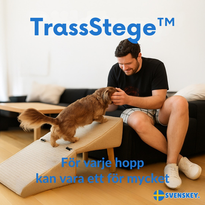 TrassStege™ –Trygga steg för äldre och små hundar