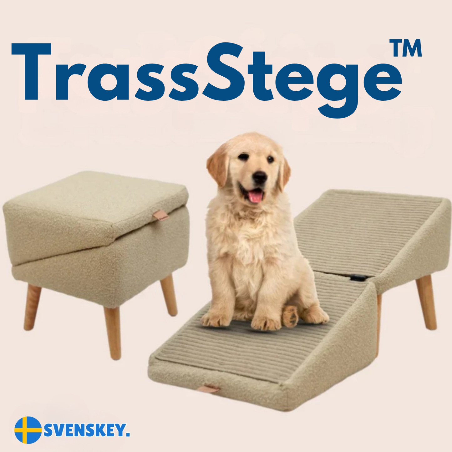 TrassStege™ –Trygga steg för äldre och små hundar